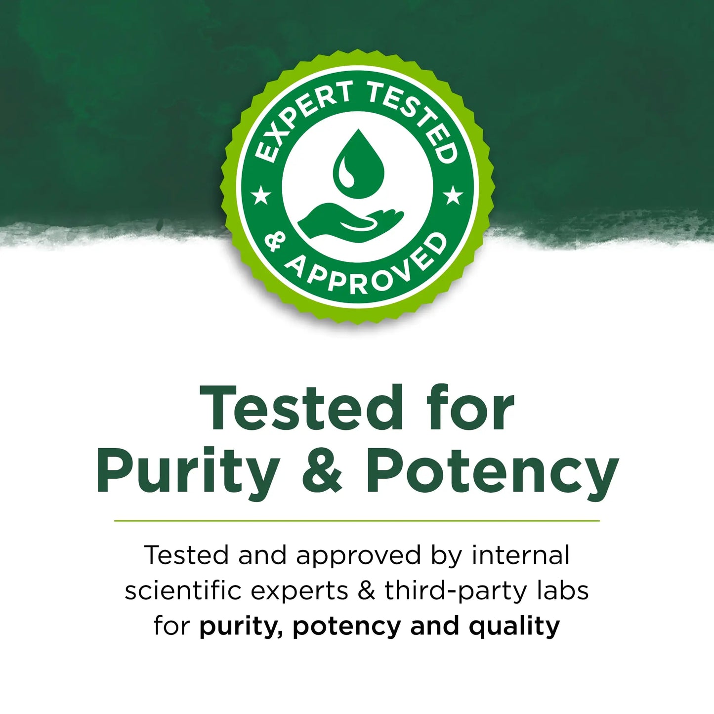 Spearmint Leaf Dietary Supplement Capsules